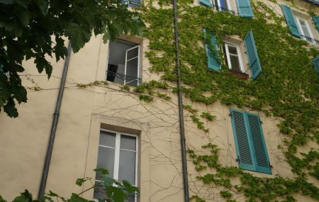 Appartement 1 pièce  | Eaux-Vives