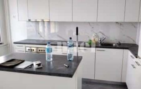 Appartement 8.5 pièces - Avenue des Morgines 19 Petit-Lancy