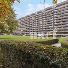 Appartement 2 pièces Genève
