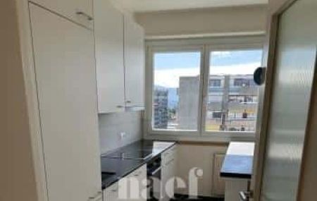 Appartement 4 pièces - Chemin Champ d'Anier 10 Genève