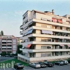 Appartement 3.5 pièces - Avenue Krieg 3 Genève