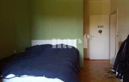 Appartement 6 pièces - Chemin de la Milice 16 C Plan-les-Ouates