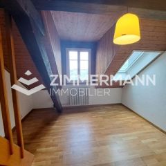 Attique 1.5 Pièce, 26 m²