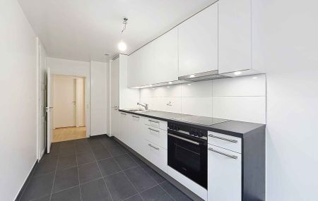 Appartement de 5,5 pièces à la Vieille-Ville