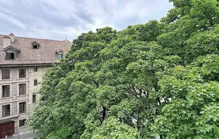 Appartement de 5,5 pièces à la Vieille-Ville