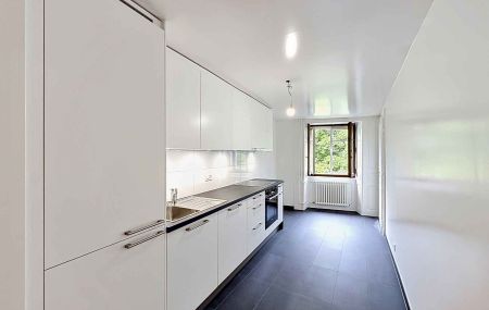 Appartement de 5,5 pièces à la Vieille-Ville