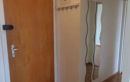 Appartement 3 pièces  | Meyrin