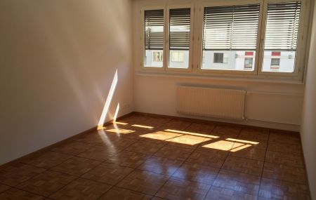 Appartement 5 pièces  | Servette