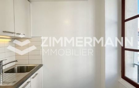 Studio 1.5 Pièce, 36 m²