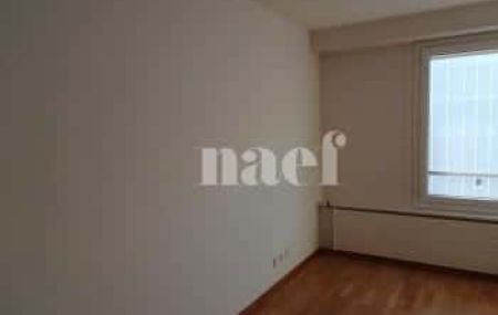 Appartement 1 pièce - Rue de Montchoisy 27 Genève