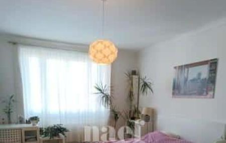 Appartement 4 pièces - Rue Viollier 7 Genève