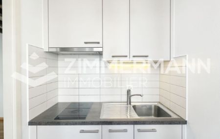 Studio 1.5 Pièce, 36 m²