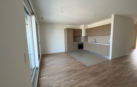 Appartement 5 pièces  | Chêne-Bourg