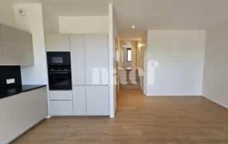 Appartement 3 pièces - Route de Sous-Moulin 6 Chêne-Bourg