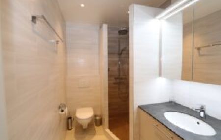Appartement de 2,5 pièces avec balcon à Champel-Florissant