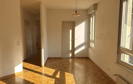 4 pièces au 4ème étage d'environ 65 m2, comprenant une cuisine agencée (non équipée), 2 chambres, salon, salle de bains et wc séparés. Cave, ascenseur et buanderie à disposition.<br> Réfection des peintures du logement en cours.