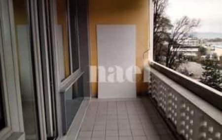 Appartement 4 pièces - Avenue des Morgines 29 Petit-Lancy