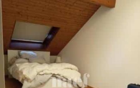 Appartement 3 pièces - Rue Alfred-Vincent 12 Genève
