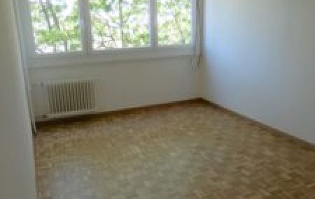 Appartement de 5 pièces avec balcon à Vernier