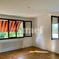 Appartement 4.5 pièces - Lilas-Blancs 16 Chêne-Bourg