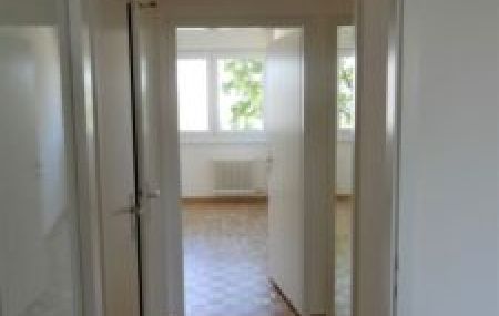 Appartement de 5 pièces avec balcon à Vernier