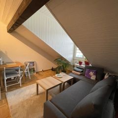 Appartement de 3.5 pièces 60 m² au 5ème étage avec ascenseur, calme Appartement de 3.5 pièces 60 m² au 5ème étage avec ascenseur, calme