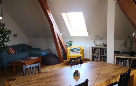 Très beau et spacieux duplex - 6.5 pièces (Saint Jean)
